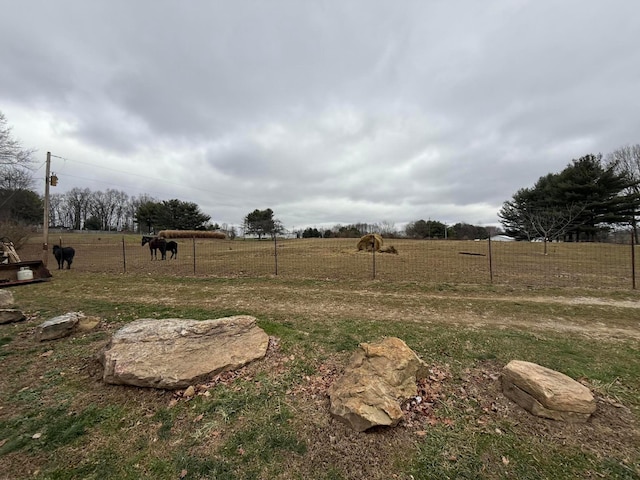 view of yard featuring a rural view