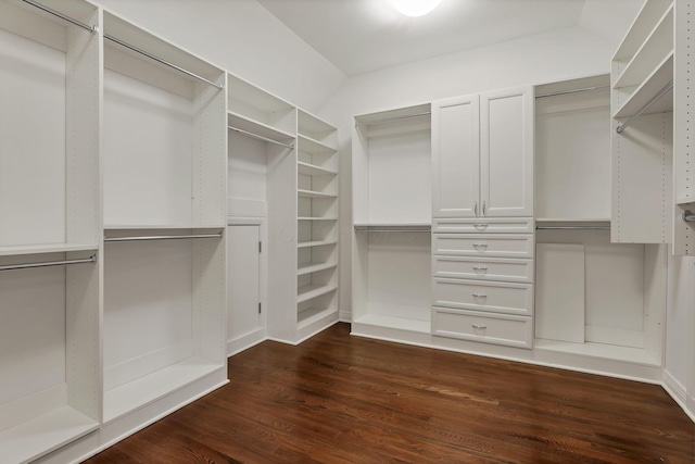 spacious closet featuring dark hardwood / wood-style flooring