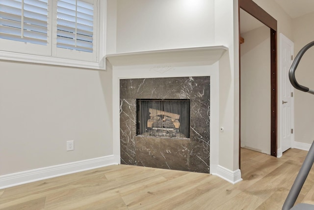 details featuring a fireplace and wood-type flooring