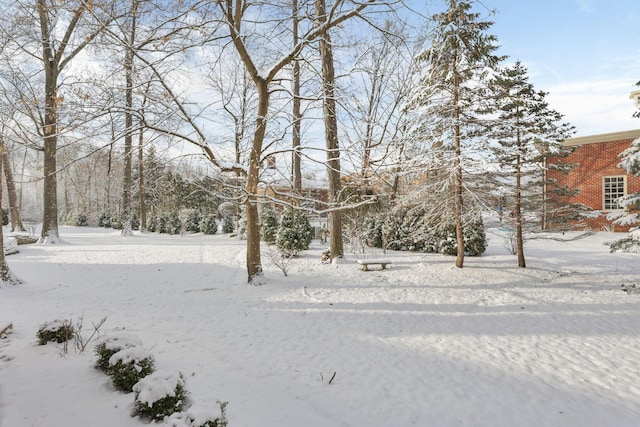 view of yard layered in snow