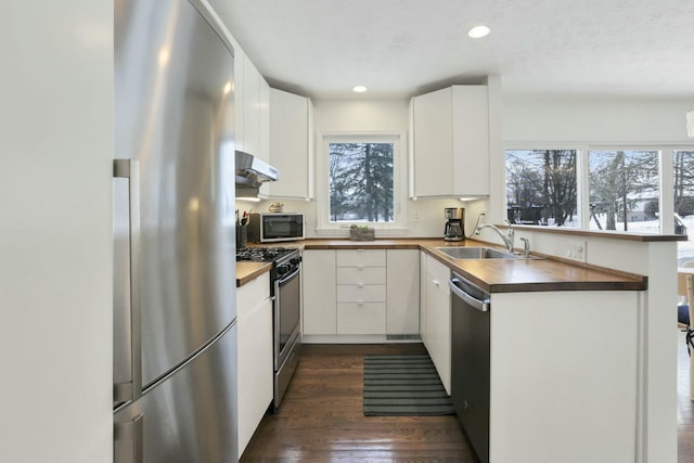 kitchen with white cabinetry, sink, appliances with stainless steel finishes, and dark wood-type flooring