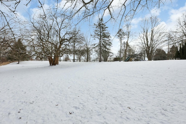 view of snowy yard