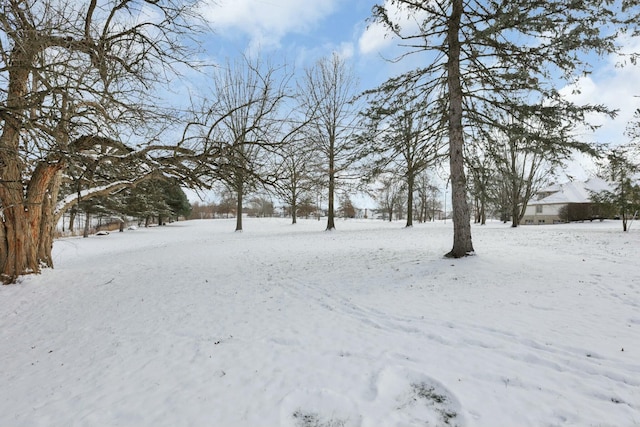 view of snowy yard