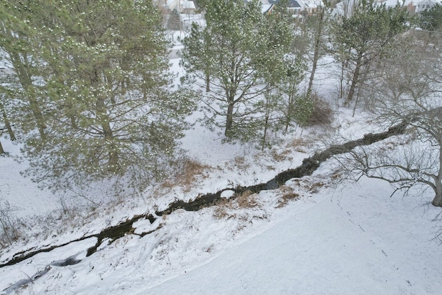 view of snowy landscape