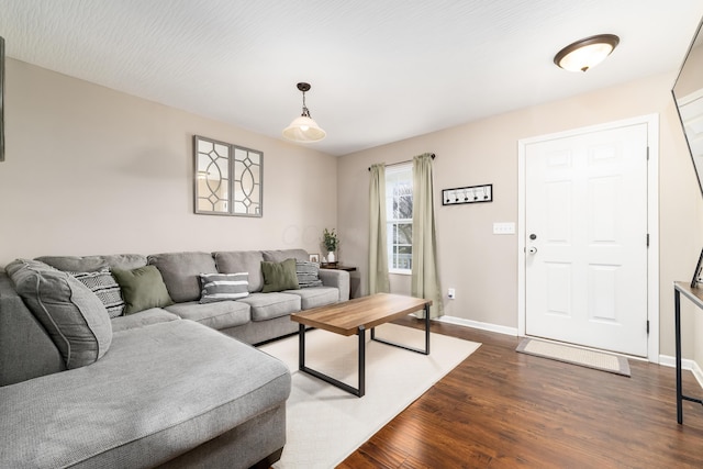 living room with dark hardwood / wood-style floors