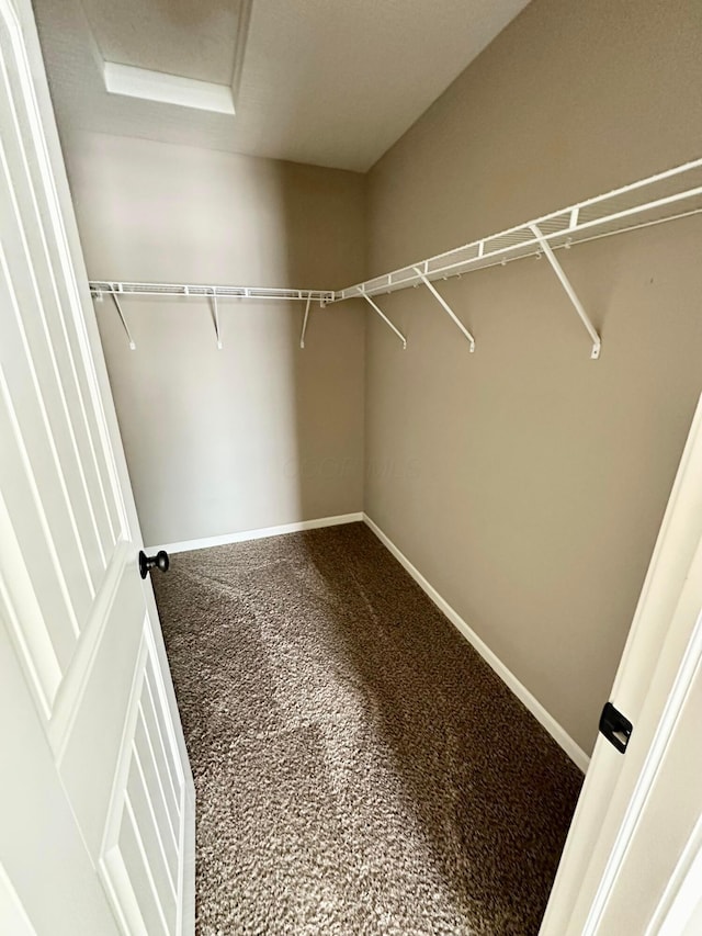 walk in closet featuring carpet