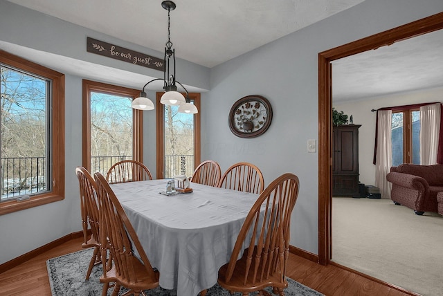 dining space featuring light hardwood / wood-style floors