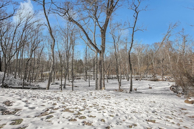 view of yard layered in snow