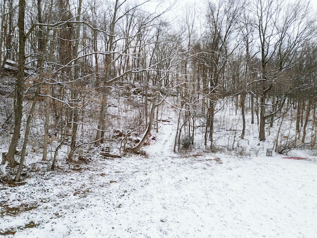 view of snow covered land