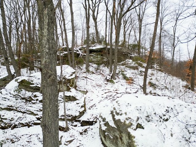 view of snowy landscape