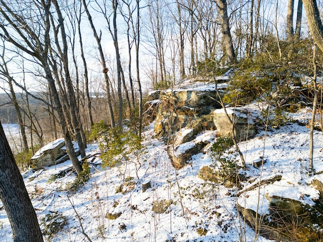 view of snowy landscape