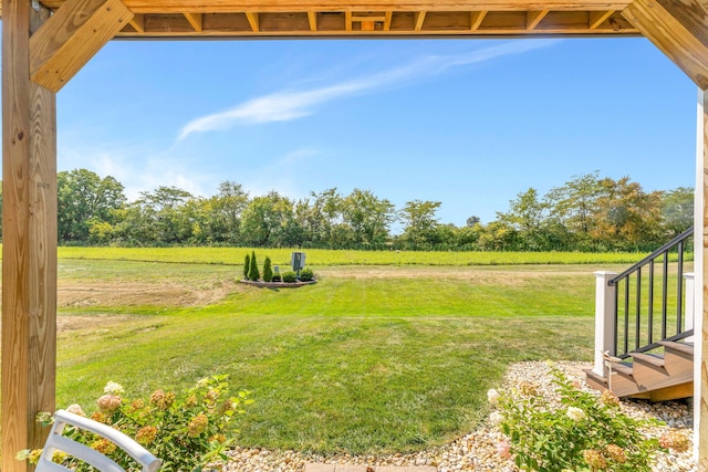 view of yard with a rural view