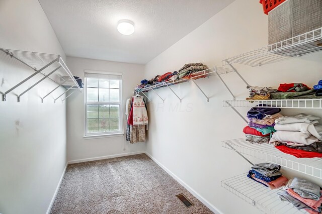 spacious closet featuring carpet floors