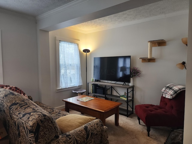 carpeted living room with a textured ceiling and ornamental molding
