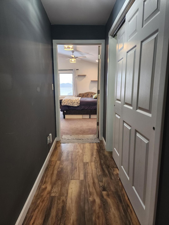 hall with dark wood-type flooring