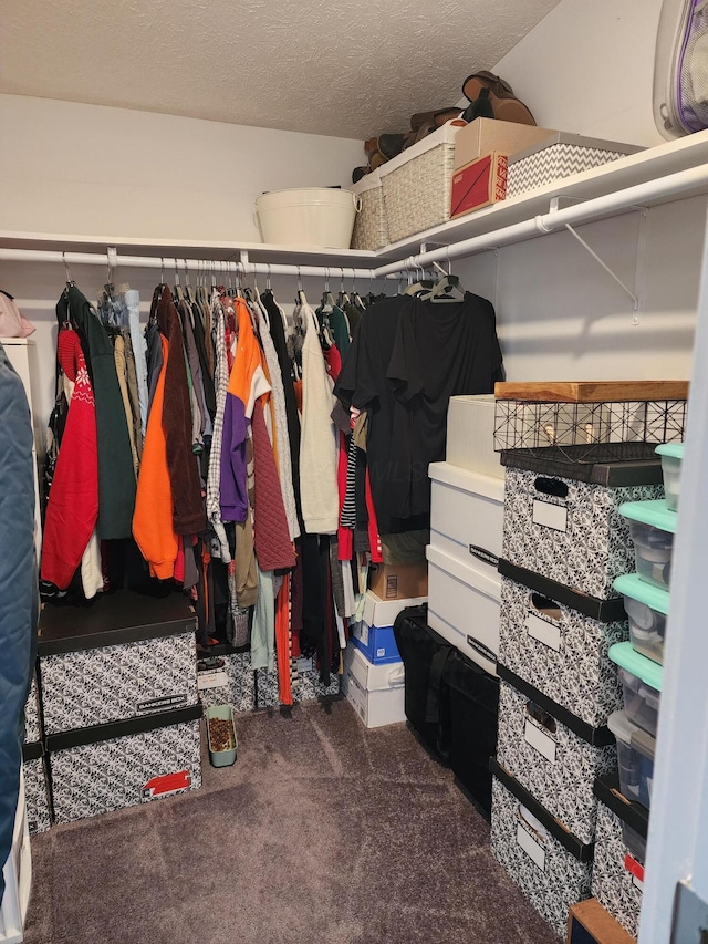 walk in closet with dark colored carpet