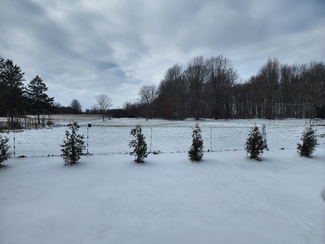 view of snowy yard