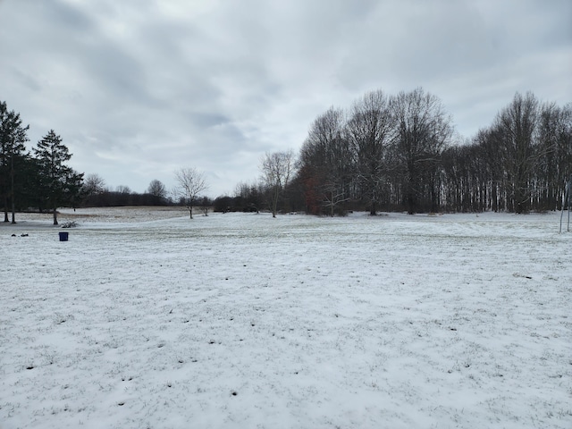 view of yard covered in snow