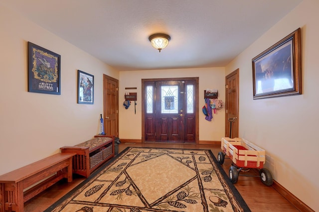 foyer entrance featuring hardwood / wood-style flooring