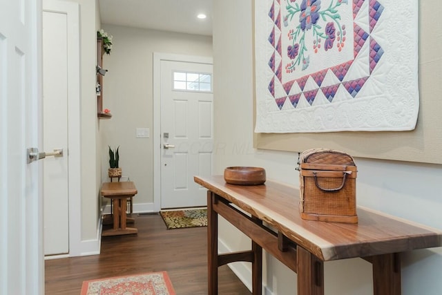 foyer with dark wood-type flooring