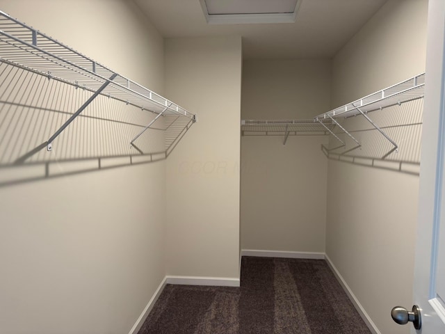 walk in closet with carpet floors