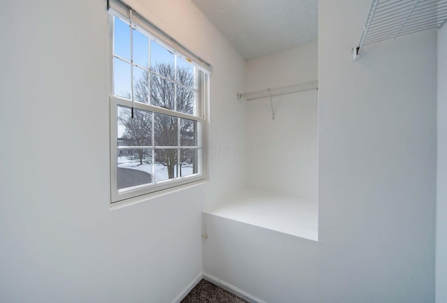 walk in closet featuring carpet floors