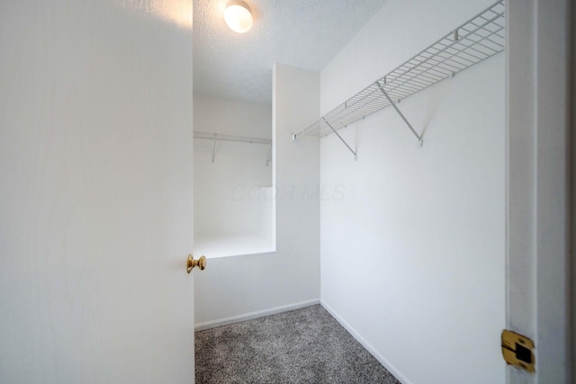 spacious closet with carpet floors