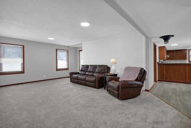 living room with light colored carpet