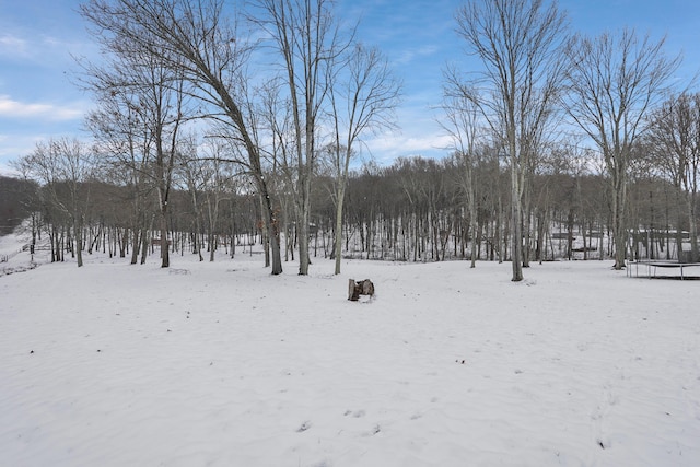 view of snowy yard