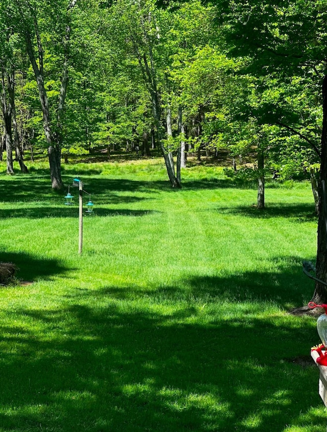 view of community with a lawn