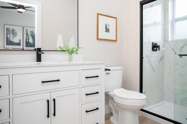 bathroom with vanity, toilet, and an enclosed shower