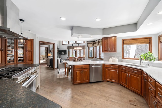 kitchen featuring range hood, light wood finished floors, hanging light fixtures, appliances with stainless steel finishes, and a sink