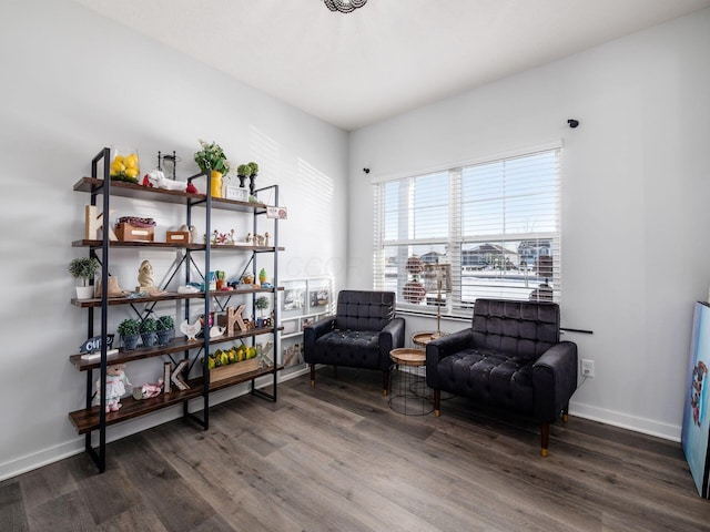 sitting room featuring dark hardwood / wood-style floors