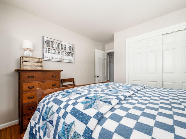 bedroom with a closet and dark wood-type flooring