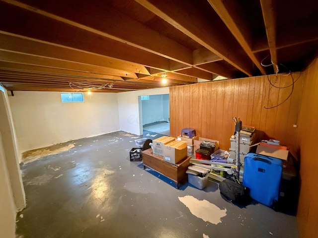 basement with wood walls