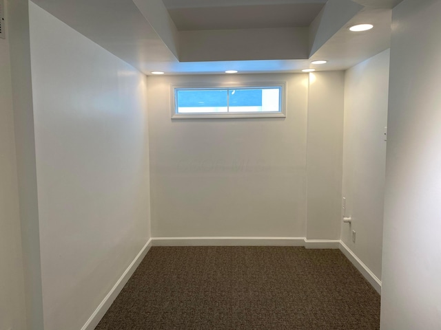 basement featuring dark carpet