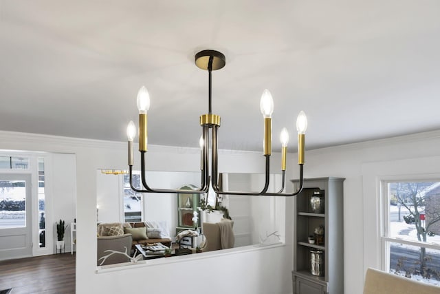 interior details featuring crown molding and wood-type flooring