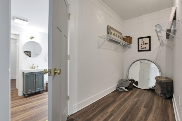 spacious closet featuring dark hardwood / wood-style flooring and sink