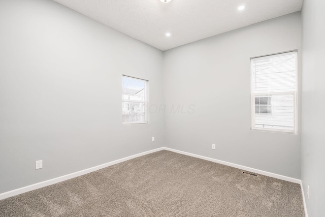 carpeted spare room featuring a wealth of natural light