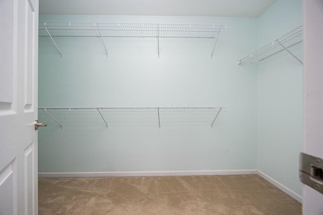 spacious closet with carpet floors