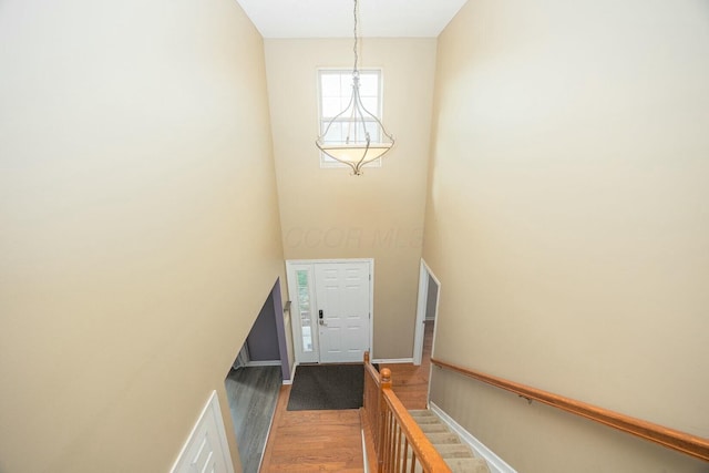 staircase with hardwood / wood-style flooring