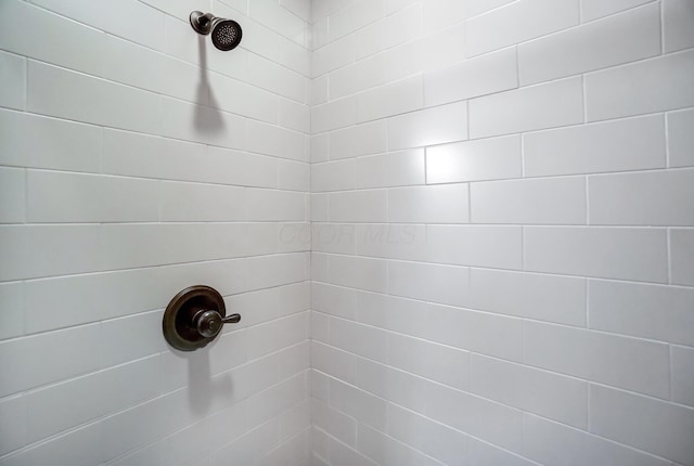 interior details featuring tiled shower