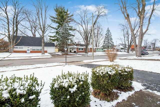 view of snowy yard