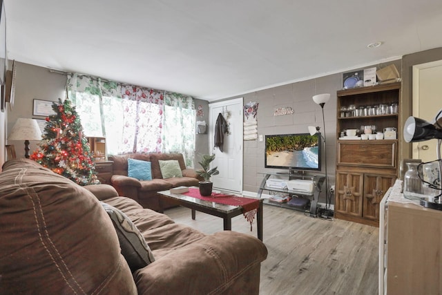 living room featuring light hardwood / wood-style floors