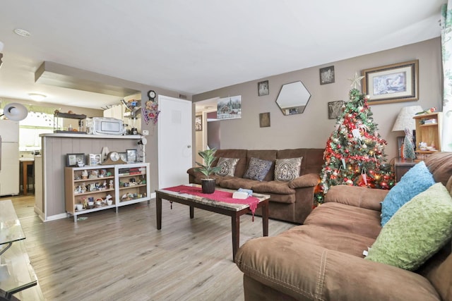 living room with wood-type flooring