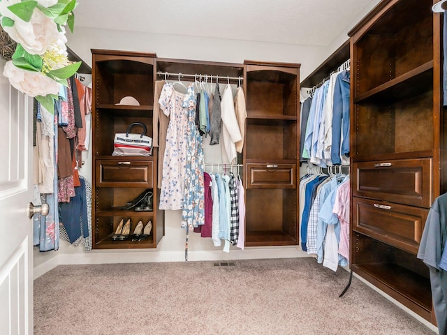 spacious closet with light carpet