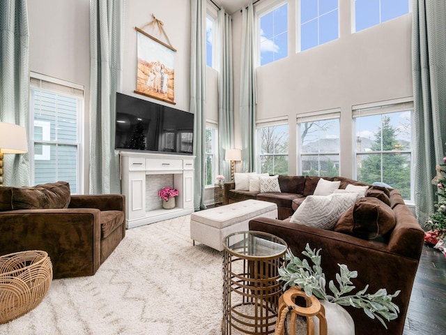 living room featuring hardwood / wood-style floors and a towering ceiling