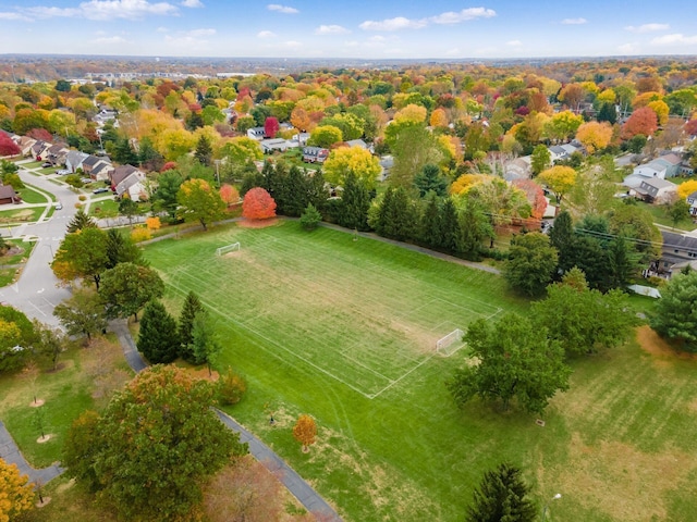 bird's eye view