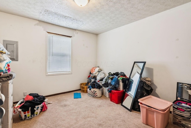 playroom with light carpet and a textured ceiling