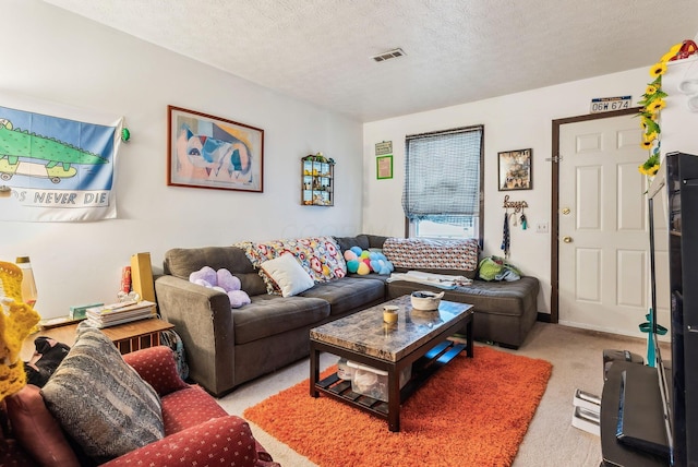 carpeted living room with a textured ceiling